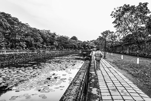 solemn d850 landscape street water serious quiet vietnam concentrate lillypad urban candid river blackwhite monochrome lonely tree forgotten people hue thừathiênhuế