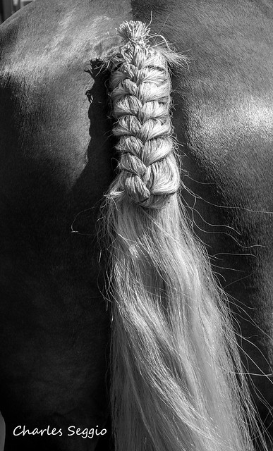 Queue de cheval tressée ......Braided ponytail ......
