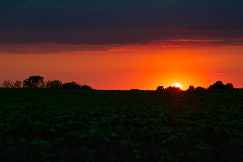 brock kentucky dusk farm sundown sunset