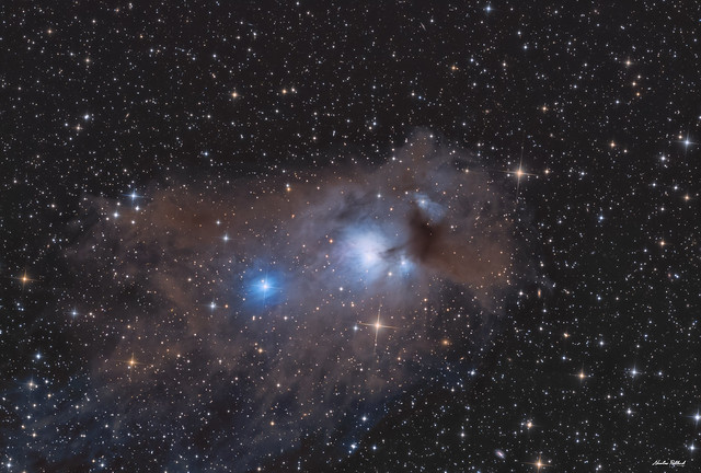 Cometary Globule CG12 & NGC 5367