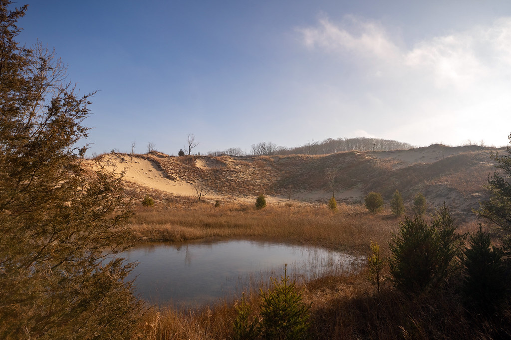 West Beach Trail - Three Loops, near Leon's Heroes Obstacle Course Race - Indiana Dunes National Park
