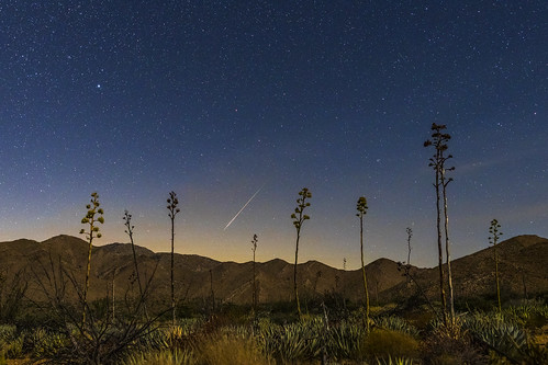 julian california unitedstatesofamerica blairvalley anzaborrego anzaborregodesertstatepark desert agave mountains meteor perseid
