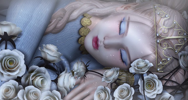 Enchantment Present: Sleeping Beauty..... Contest  Entry
