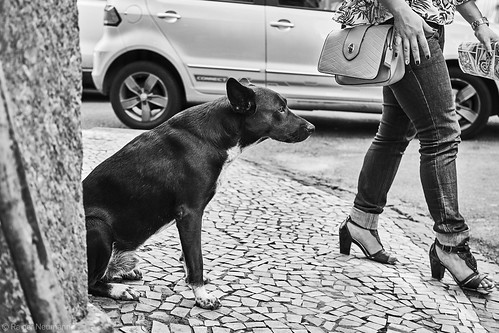 Hund & Frau | Rio de Janeiro | www.rainerneumannphotography.de | Flickr