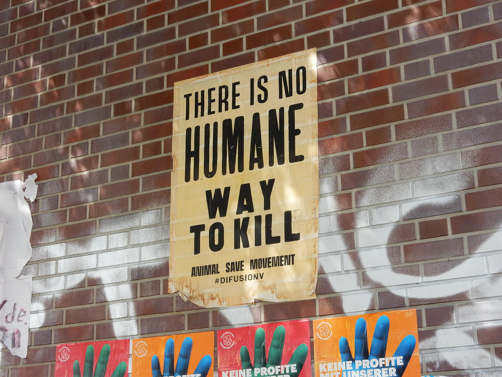 There is no humane way to kill: Animal Save Movement | Flickr
