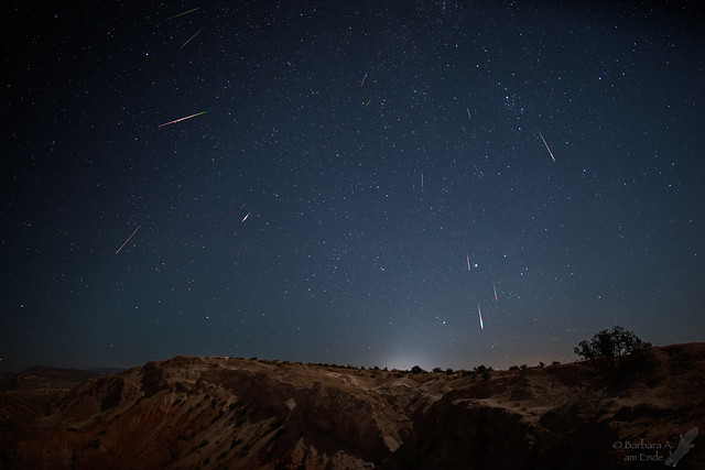 Composite of the Perseid Meteor Shower over the lights of Santa Fe, NM yesterday morning.