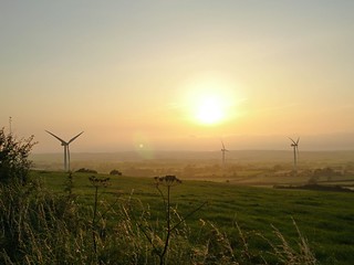 Wind turbines at sunset 2