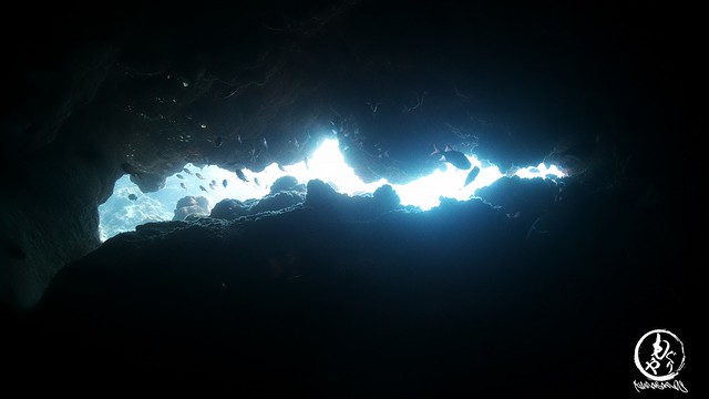 洞窟探検♪