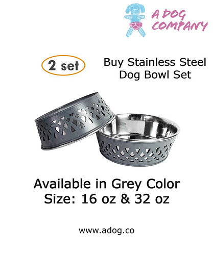 Buy Stainless Steel Dog Bowl Set - A Dog Company