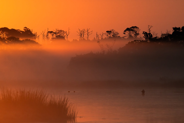 Sunrise on the Marsh