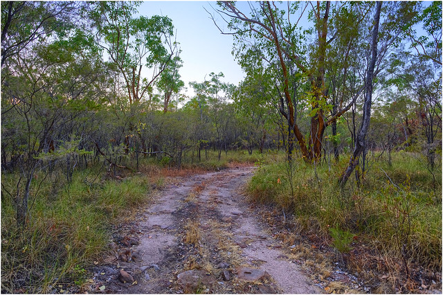 Bush track, Nitmiluk National Park, Northern Territory, Australia