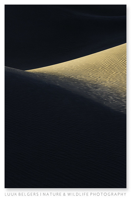 Dune lines
