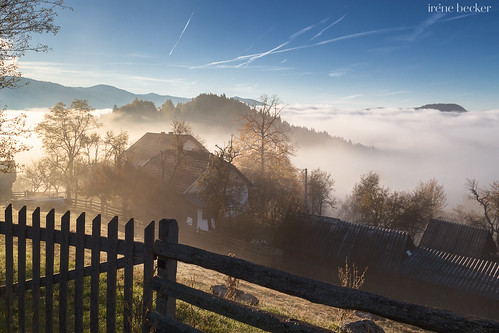 serbia taranationalpark autumn foggy landscape morning village bajinabašta zlatibor balkans
