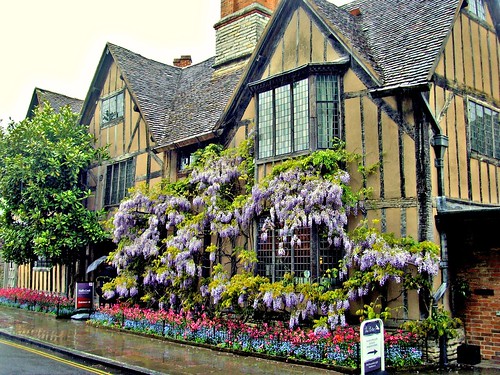 architecture building view relic old past bloom flower grown oldtown stratford olden history english british country great day today photos photographer season outside avon buy sell sale bought item stock image location ilobsterit instagram overgrown plants nice like house home midlands uk shakespeare county tourist bush nature