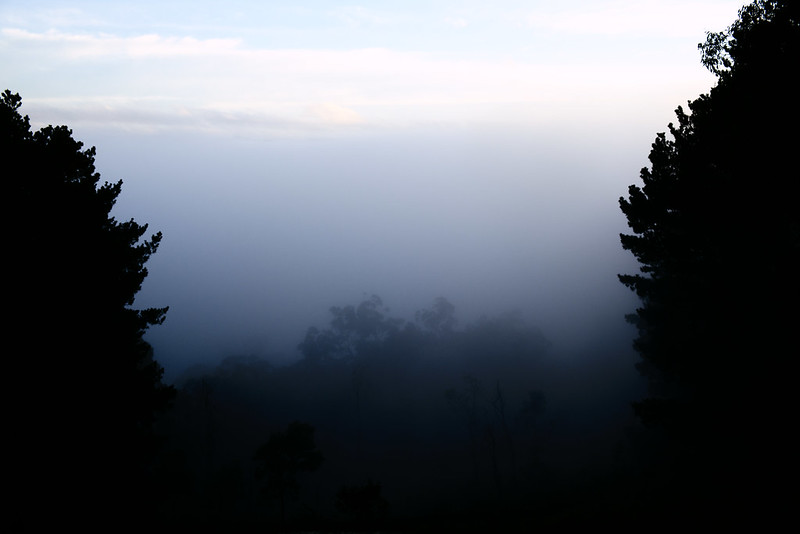 Kanimbla Valley in fog