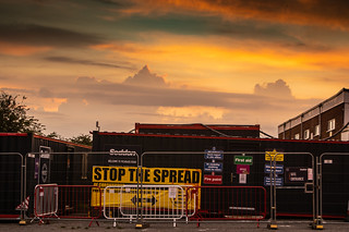 Stop the Spread Sunset