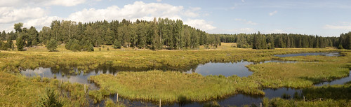 wetland panorama tyresta haninge sweden nationalpark