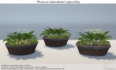 .:Tm:.Creation "Flowers in wicker planter" 3 types GP34