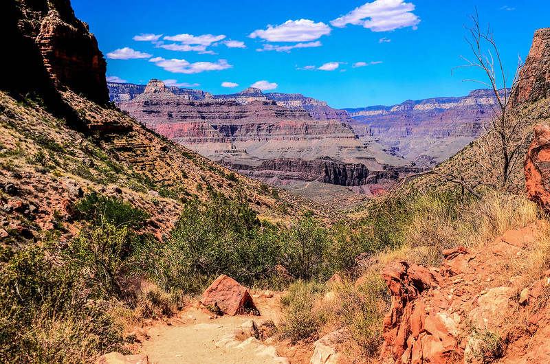 Looking north across the Canyon from Bright Angel Trail 4