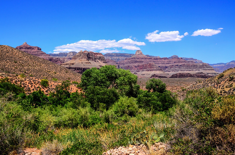 Looking north across the Canyon from Bright Angel Trail 1