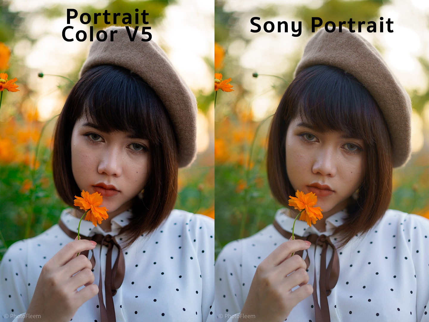 portrait-color-profile-03