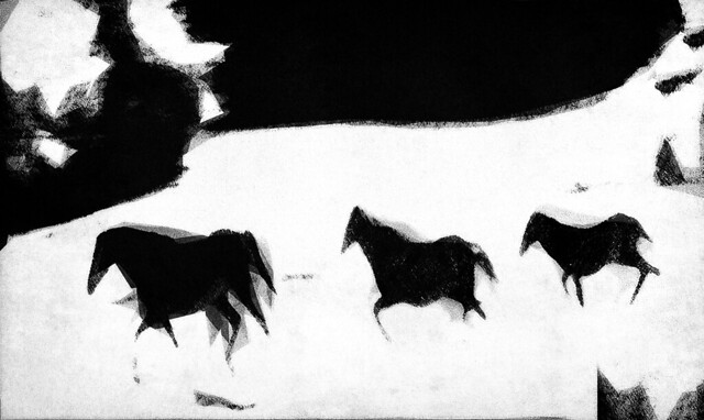 The Horses of Canyon de Chelly...in Very BLACK and White