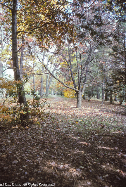 Autumn Walkway - 1979-10-14