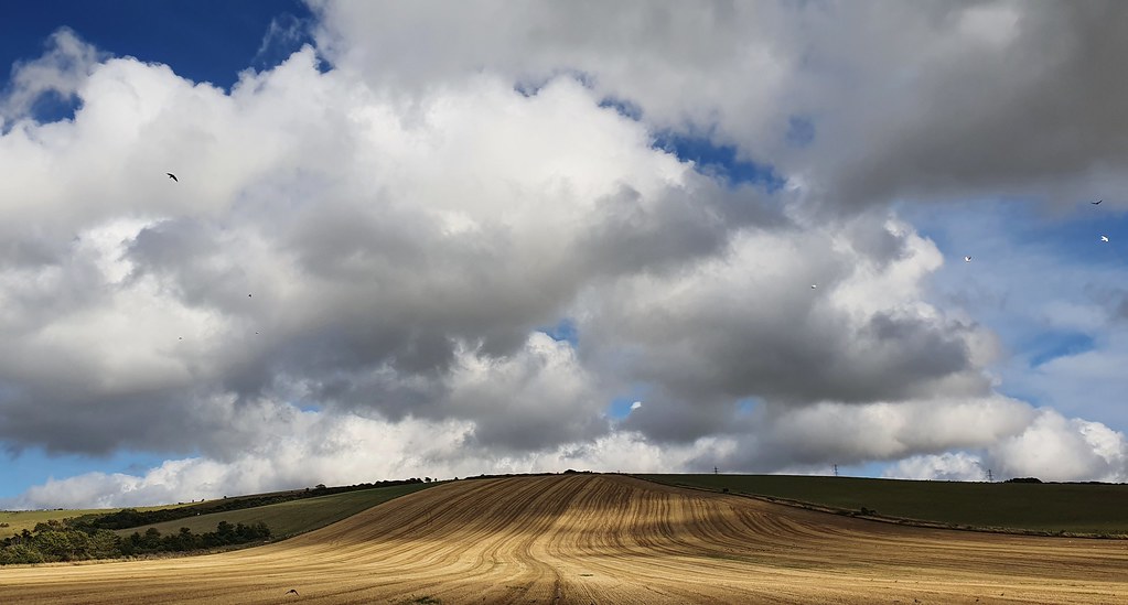 Scudding Beeding Hill | Scudding clouds and a Buzzard over Beeding Hi… | Malcolm ...