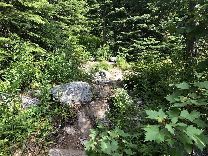 Hiking to Beehive Lake