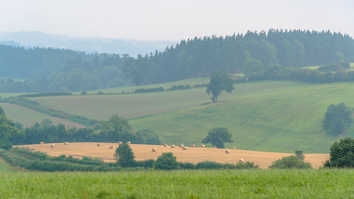 summer bales countryside england europe hay herefordshire landscape landscapes titley 夏天 欧洲 英国 赫里福德郡 风景