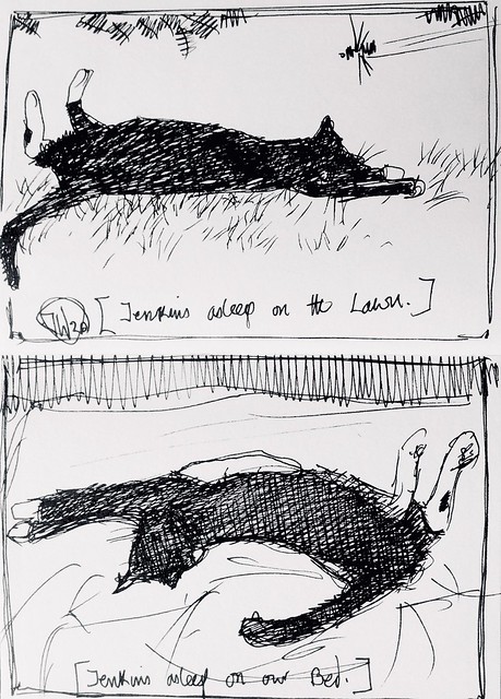 Jenkins asleep, he is quite nocturnal at the moment. New sketchbook drawings by jmsw. Only on this site, just for fun.