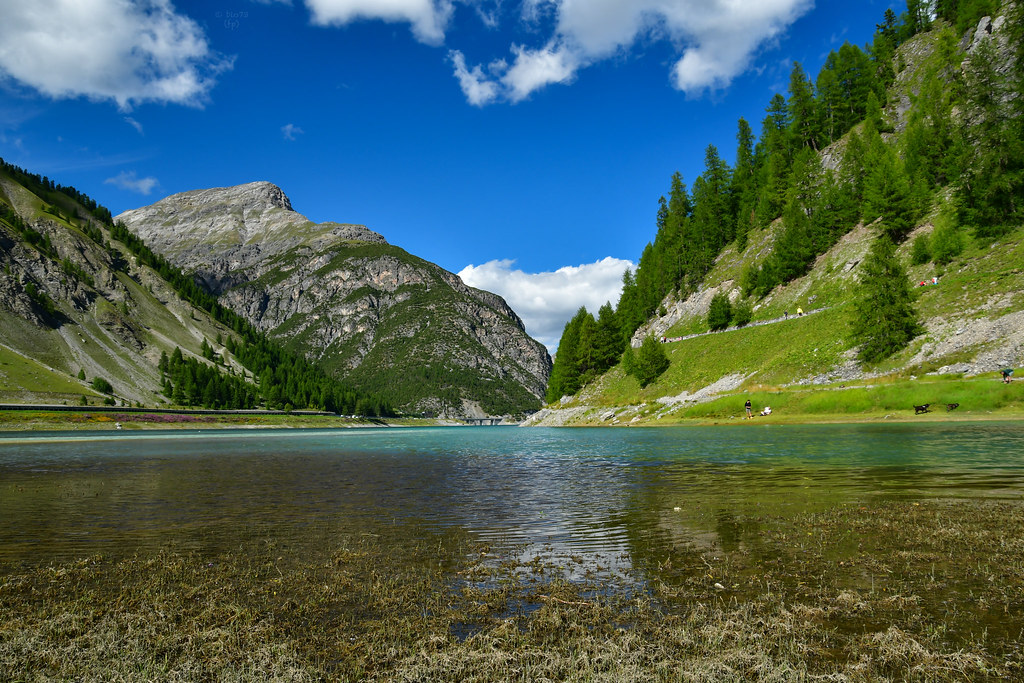 Lago di Livigno | bio73 | Flickr