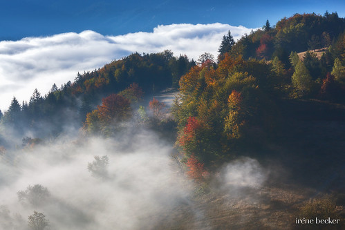 serbia taranationalpark autumn foggy landscape morning village balkans