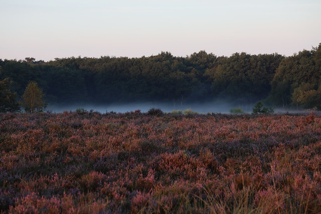 Un peu de brume, réveil à une autre belle journée.