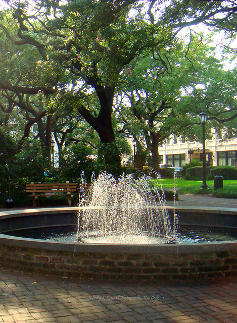 Southern Live Oaks in Savannah, Georgia.