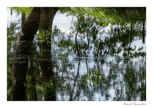 davidsnowdonphotography canoneos80d landscape northyorkshire riponcanal ripon reflections abstract abstractreality