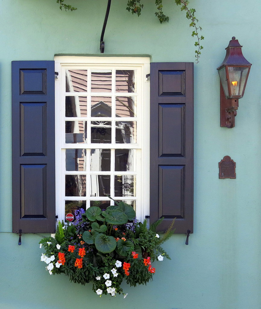 The view from my window, Charleston, SC