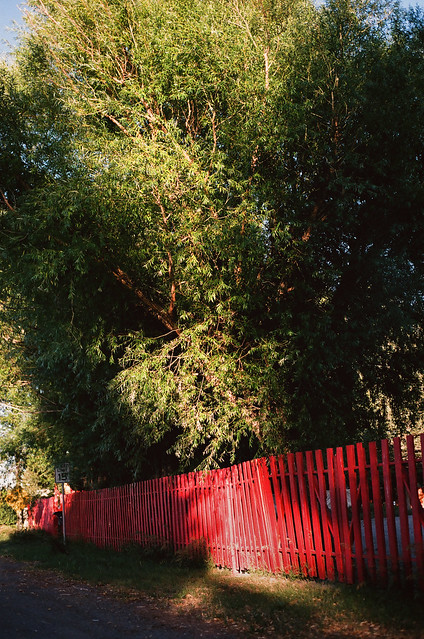 Red Fence in Arco, ID