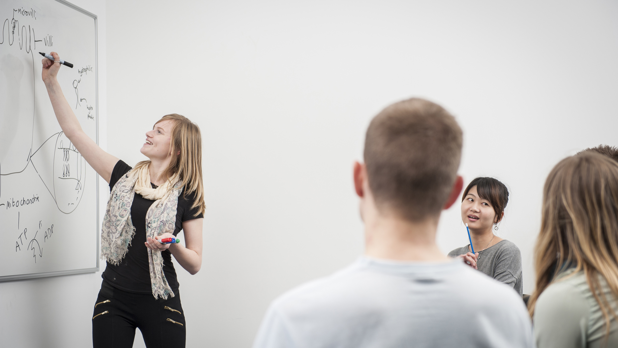 A student writing on a whiteboard, giving a presentation to three other students.