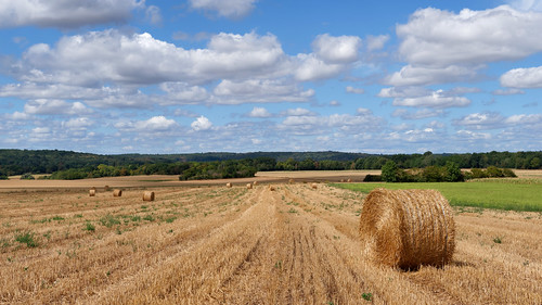 nature landscape france outside travel europe panorama view pentax pentaxart pentaxk1 field agriculture wheat haystack fields countryside
