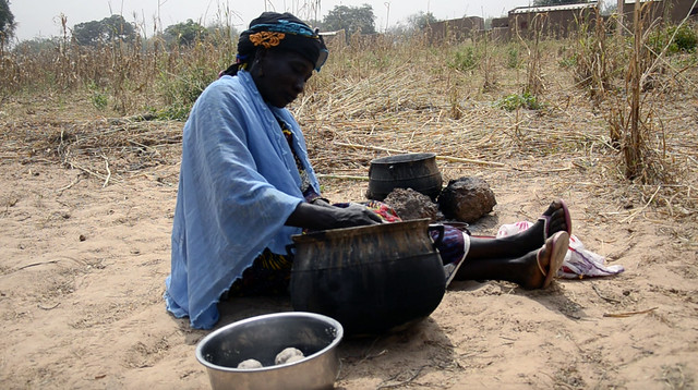 Projet Karité de Poa au Burkina