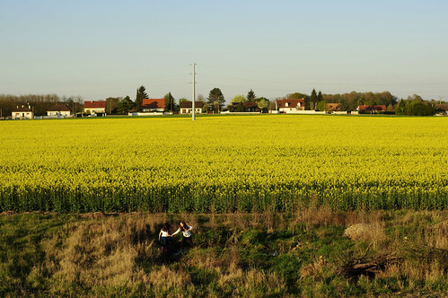 Amilly by Philippe Charles, france centre loiret amilly montargis campagne countryside country scene scenery 2017 avril april pr