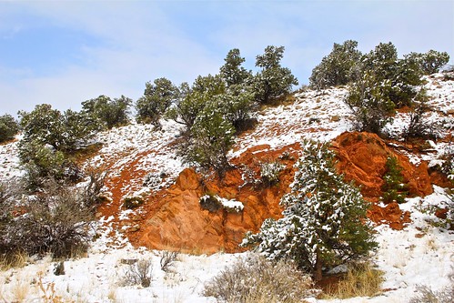 landscape nature snow cedar rock