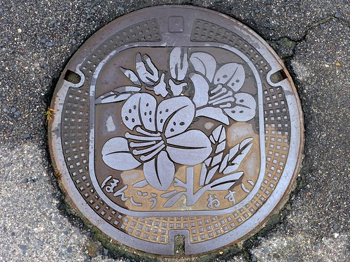Hongo Hiroshima, manhole cover （広島県本郷町のマンホール）