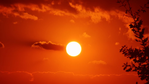 sun cloud tree sunset sky orange istanbul çamlıca nikon photography