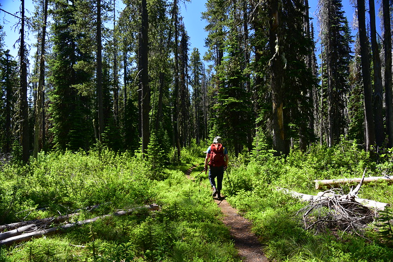 Shorty Peak Hike