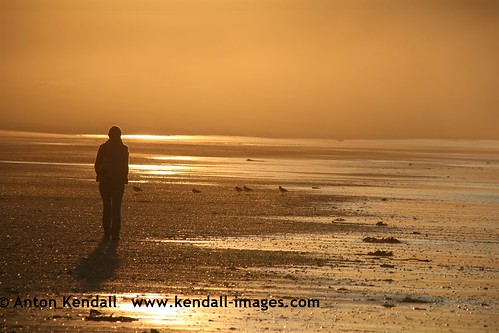 sun sunset golden water reflection mist cloud haze smooth girl woman beach walk isolated alone thought