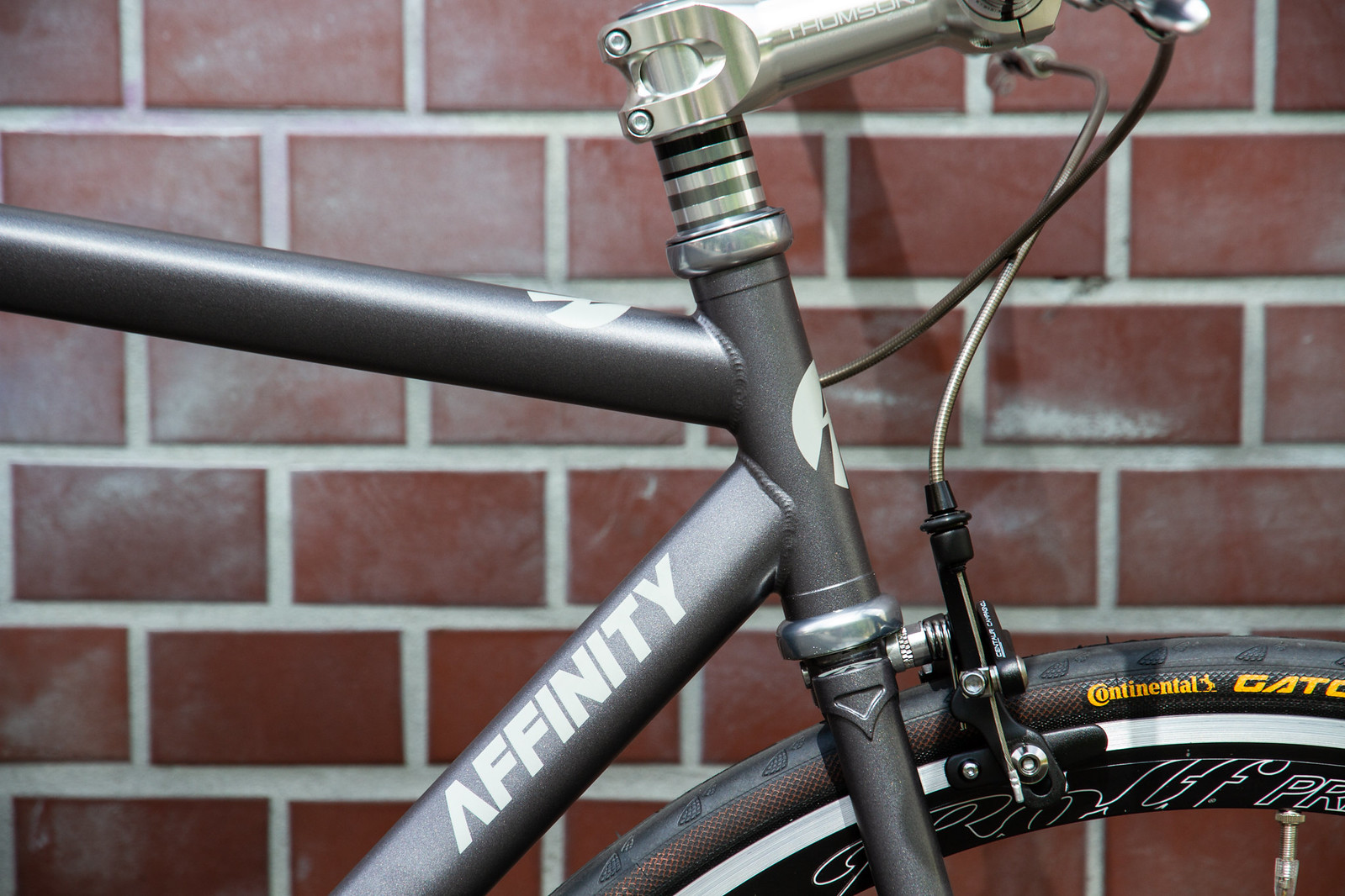 *AFFINITY CYCLES* lo pro (M)
