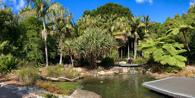 The Australian Botanic Garden Mount Annan