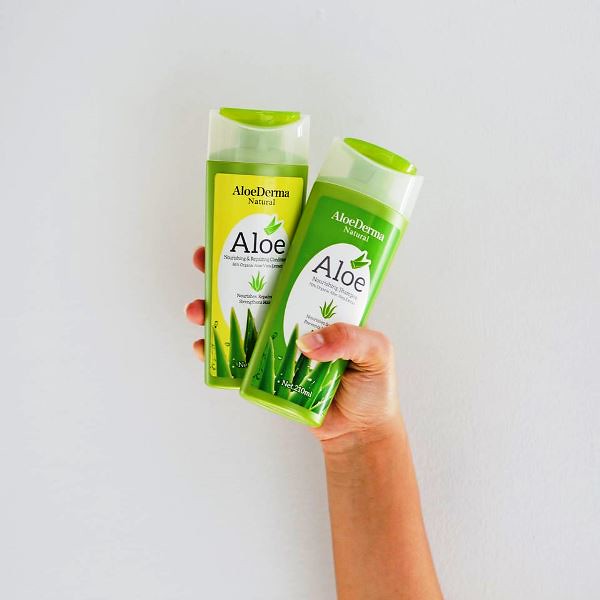 AloDerma shampoo and conditioner